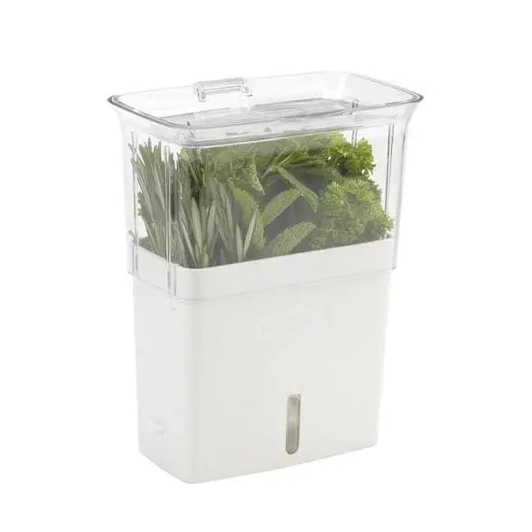 Cole & Mason Cut & Store Fresh Herb Keeper – Preserves Flavour And Crispness 1