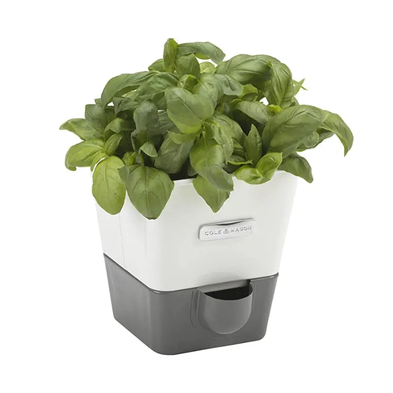 Cole & Mason Self-Watering Herb Keeper – Single Compartment 1