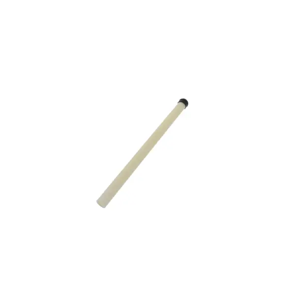 Everpure Ev308040 Dip Tube Assembly For Kleenstem Sr-X And Ar-X Systems 1