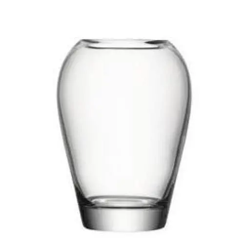 Lsa Flower Garden Vase – 25Cm Clear Glass 1